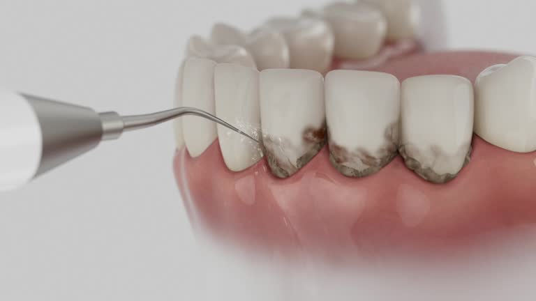 Reliable Dental contractor in Pembina County County, ND by Dentist Open Now